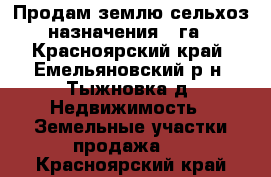 Продам землю сельхоз.назначения 12га - Красноярский край, Емельяновский р-н, Тыжновка д. Недвижимость » Земельные участки продажа   . Красноярский край